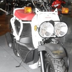 Motor Unik Honda Ruckus Masuk Indonesia