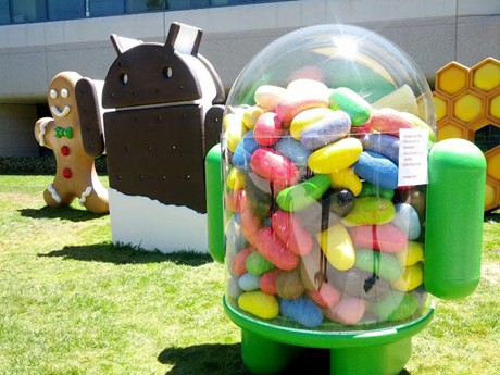Jelly Bug, Celah yang Menganga di Android Jelly Bean