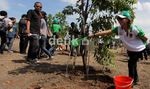 Para Artis Ramai-ramai Tanam Pohon