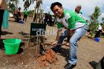 Para Artis Ramai-ramai Tanam Pohon