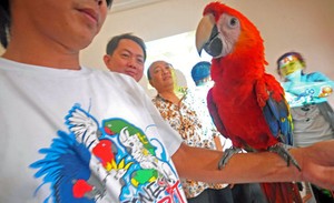 Burung Macow Seharga Rp 250 Juta, Hingga Ikan Cupang Rp 30 Juta Nongol di WTC