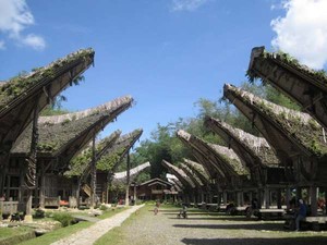 Rumah Adat dan Kuburan Batu, Asli dari Tana Toraja