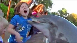 Beredar Video Gadis Kecil Digigit Lumba-lumba Sea World