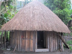 Rumah Jamur, Penginapan Paling Unik di Papua