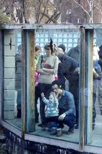 Tidak hanya berdua saja, mereka juga ditemani oleh stylist Harry, Lou Teasdale bersama tunangannya Tom dan bayi mereka Lux. (dok. AceShowbiz)