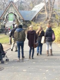 Harry dan Taylor akhirnya go public. (dok. AceShowbiz)