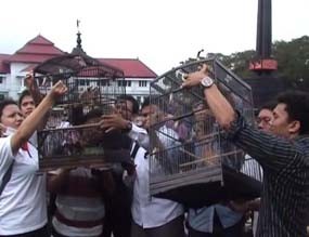Penyandang Cacat Aksi Simpatik Lepas 1.000 Burung