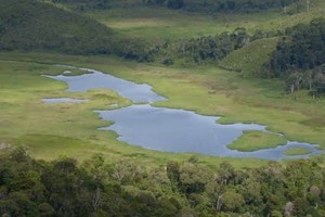 Telaga Makamo, Telaga Berbetuk Pulau Papua Yang Diabaikan