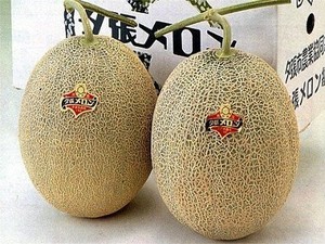 Ini Dia Yubari King, Melon Seharga Rp. 116 Juta dari Jepang