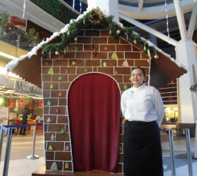 Lihat Trans Ginger House Setinggi 2,7 Meter Yuk!