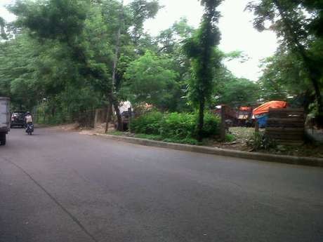  Siap-siap! Jokowi Janji Cek Hutan Kota Pulomas yang Jadi Tempat Sampah