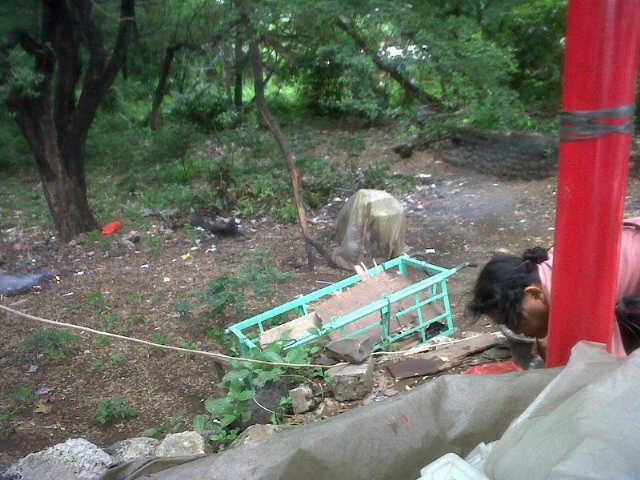 Hutan Kota UKI di Cawang