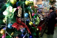 Di tempat tersebut, harga pohon natal berkisar antara Rp 200 ribu hingga Rp 2 juta.