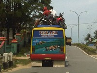 Guna meminimalkan resiko karena perjalanan jauh, pengendara motor rela menaruh motornya diatas bus. Foto diambil di jalan ruas utama Pontianak Kalimantan barat (Foto: Robby Pranata)