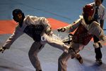 Atlet Taekwondo Saling Baku Hantam di Senayan