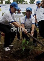 25.000 Pohon Ditanam di Gunung Halimun