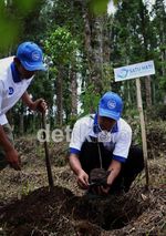25.000 Pohon Ditanam di Gunung Halimun