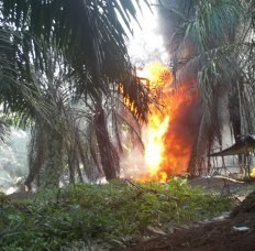 Sumur Minyak yang Terbakar Jauh dari Pemukiman Warga