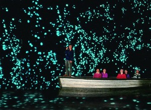 Jadi Bintang Film Life of Pi dan The Hobbit di 4 Tempat Ini