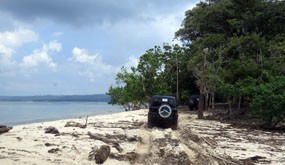 Kaya Wisata Alam dan Budaya, Pemkab Banyuwangi Tak Diam