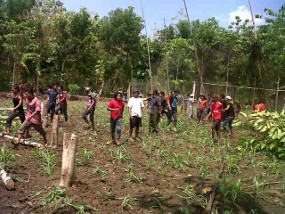 Pohon Jati di Lahan Sengketa Habis Dibabat Warga