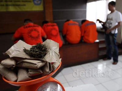 Polisi Ciduk Pengedar Ganja
