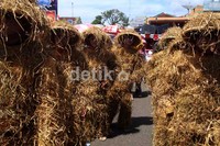 Parade budaya ini menampilkan berbagai jenis kesenian yang ada di Kabupaten Purbalingga seperti seni lengger, dames, kuda lumping, angguk dan begalan. Kesenian lainnya seperti kentongan, tari tradisional dan kreasi baru, braen dan rebana.