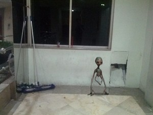 Foto Alien yang Bikin Merinding Warga Taman Yasmin Bogor