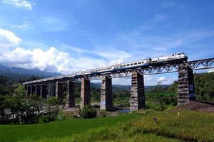 Tuut..tuut! Ayo Traveling Naik Kereta!
