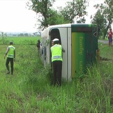 Bus Terjun ke Sawah Akibat Sopir Ugal-ugalan
