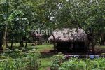 Kain Tenun Oleh-oleh Sumba