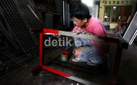 Penjualan rak besi bekas ini masih banyak diminati oleh para pengunjung dikarenakan harga yang murah.