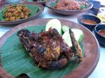Pedas Segar Pelecing Kangkung Khas Putera Lombok
