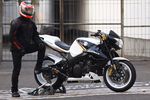 Suzuki GSX1000 Motor Playboy