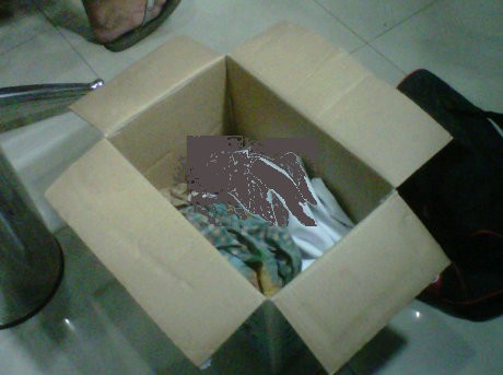 PRT di Beji Diduga Aborsi, Bayi Disimpan di Lemari