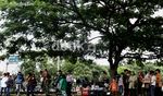 Terminal Bayangan Pasar Rebo Bikin Macet