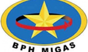 BPH Migas: Pemerintah Daerah Punya Hak Hapus BBM Subsidi di Wilayahnya