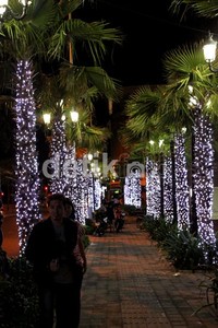 Pemerintah setempat juga memasang lampu-lampu hampir di seluruh pohon yang ada.