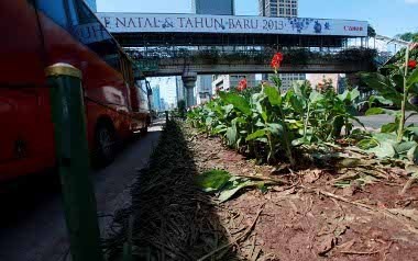 Pasca Pesta Tahun Baru, Taman Median Jl Thamrin Rusak