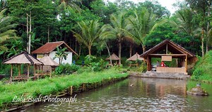 Lesehan Otak Kokok; Masakan Tradisional Khas Sasak - Lombok
