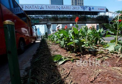 Pasca Tahun Baru, Taman di Median Thamrin Rusak