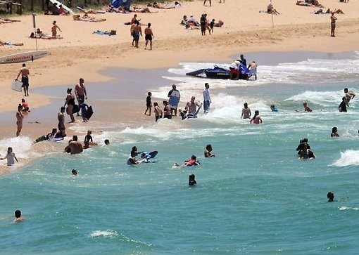Hati-hati! Hiu Ganas Berkeliaran di Pesisir Sydney