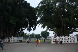 Memecahkan Misteri Beringin Kembar di Alun-alun Yogya