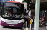 Bus Jadi Favorit Warga Singapura