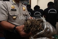 Para tersangka dijerat dengan pasal 111 ayat 2 atau 112 ayat 2, subsidair pasal 114 ayat 2, subsidair pasal 132 ayat 1 UU no 35 tahun 2009 tentang narkotika dengan ancaman hukuman 15 tahun penjara atau maksimal hukuman mati.