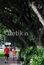 Trotoar Untuk Raja Jalanan