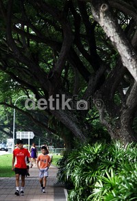 Trotoar yang rindang oleh pepohonan membuat udara terasa sejuk.