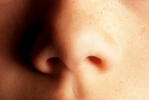 Hiii, Bakteri di Hidung Anda Ini Bisa Berbahaya Lho