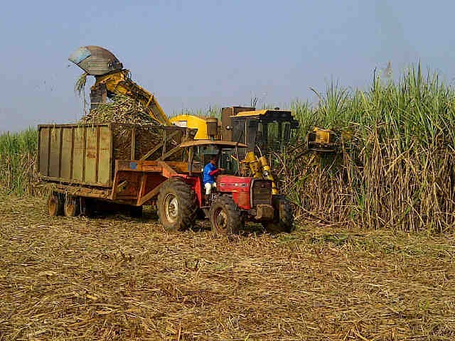 Tahun 2012, 51 Pabrik Gula BUMN Tak Lagi Rebutan Tebu