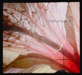 CD Review: Rumahsakit